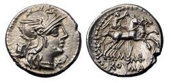 Ancient Coins - Roman Republic: M. Marcius Mn.f. 134 BC. AR Denarius, lustrous Superb EF / MS