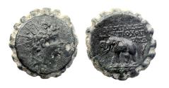 Ancient Coins - SELEUKID EMPIRE. Antiochos VI Dionysos. 144-142 BC. Bronze Æ with Elephant!