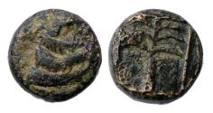 Ancient Coins - Greek coins: Rare Skepsis bronze AE with palm tree