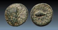 Ancient Coins - Greek coins: Ionia Priene bronze with Poseidon - RRR-unpublished