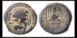 Ancient Coins - SELEUKID EMPIRE. Antiochos VII Euergetes (Sidetes). 138-129 BC. Æ - w Eros, Scarce!