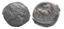 Ancient Coins - Greek coins: Scarce large dishekel bronze issue of Carthage with Tanit / Horse