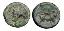 Ancient Coins - Greek coins: Italy, Campania Neapolis bronze with exceptional patina!