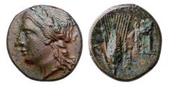 Ancient Coins - Greek coins: Superb Metapontum bronze Æ - Choice EF, Ex. Friedrich Popken Collection