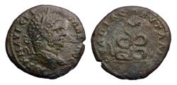 Ancient Coins - Roman provincial: Attractive large bronze AE31 of Caracalla from Thrace Pautalia