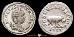 Ancient Coins - Otacilla Severa. Antoninianus. (3.86 g.). Rome, 248 AD. SAECVLARES AVGG / IIII. RIC IV 116b. Choice Extremely Fine. Original mint luster.