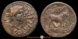 Ancient Coins - Hispania - Augustus. As. 27 B.C. - 14 A.D. (13.53 g.). Die axis 1h. Celsa. Vv160-9. Choice VF. Greenish-brown patina. Fine specimen.