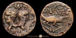 Ancient Coins - Augustus. As. Colonia Nemausus. 10-14 AD. AE 11.21 grams, 24mm, RIC-158. Fine.