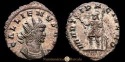 Ancient Coins - Gallienus, Roman Imperial, 253-268. Antoninianus (silvered bronze, 21 mm, 2.76 g), Rome, 265-266. Cohen 614. MIR 569w. RIC 236. Rare. Choice VF. Beautiful patina.