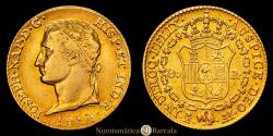 World Coins - Joseph Napoleon (1808-1814). 80 reales. 1812/1. Madrid. AI. Gold. 6.77 grams. Diademed bust. Clear overdate. Beautiful orange tone with excellent eye appeal. Choice VF.
