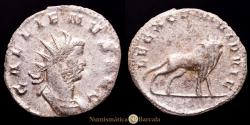 Ancient Coins - Gallienus. Antoninianus. (3.57 g.). Rome. 253-258 A.D. RIC 357. Choice VF. Reverse: LEG X GEM VI P VI F