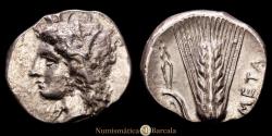 Ancient Coins - LUCANIA, Metapontion. Stater. (7.84g/22mm). 330-290 BC. Magistrate Atha-. (HN Italy 1583). Choice EF/EF. Traces of original luster, rare as such.