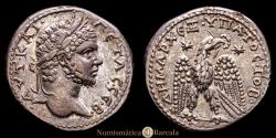 Ancient Coins - Seleucis and Pieria. Antioch on the Orontes. Geta (AD 209-211). Tetradrachm (Billon). AD 211. 27 mm. 13.74 g. Prieur 213; McAlee 720. Near mint state. Beautiful patina.