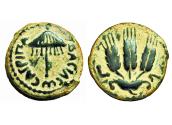 Ancient Coins - HERODIAN KINGS of JUDAEA. Agrippa I. 37-44 CE. Æ Prutah . Dated year 6 (41/2) CE.