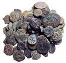 Ancient Coins - Lot Ancient coins 96 itmes.AE