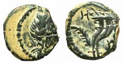 Ancient Coins - NABATAEA 9 BC-AD 40. Æ