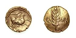 Ancient Coins - The Borden Hoard Catuvellauni & Trinovantes Cunobelin 8-41AD Gold Stater Wild Ring type