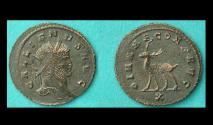 Ancient Coins - Gallienus, Zoo Issue, Stag Standing Left reverse, Sharp!