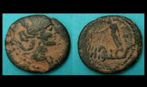 Ancient Coins - Phoenicia, Berytos, Tyche with Quadriga of Hippocampi reverse!