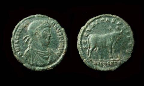 Ancient Coins - Julian II, Æ 1, Bull Reverse, Lyon mint