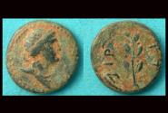 Ancient Coins - Syria, Antioch ad Orontem, Apollo & Laurel Branch, Rare!