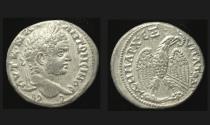 Ancient Coins - Syria, Antioch, Caracalla, Tetradrachm, Eagle with Sacrificial Animal reverse
