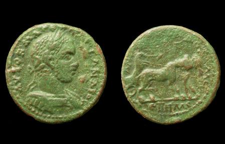 Ancient Coins - Cilicia, Severus Alexander, Dionysos Driving Biga of Panthers reverse, Rare!