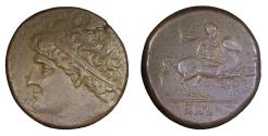 Ancient Coins - HIERON II. 230-215 BC. SYRACUSE, SICILY. AE 27MM 15.48G.
