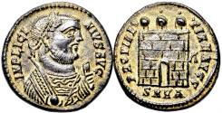 Ancient Coins - Exceptional! , Licinius I. AD 308-324. Æ Follis