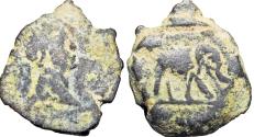 Ancient Coins - EGYPT, Alexandria. Trajan. AD 98-117. Rare African Elephante type.