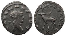 Ancient Coins - Gallienus 253-268 A.D. Antoninianus Rome Mint Near VF