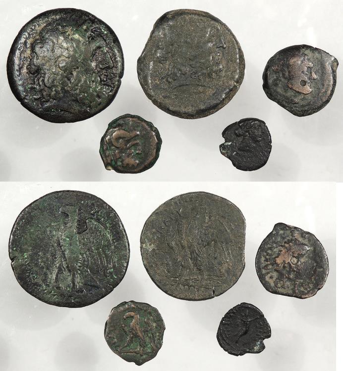 Egypt: Lot of five Ptolemaic AE | Greek Coins