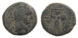 Ancient Coins - Judaea Ascalon Domitian 81-96 A.D. AE17 Good Fine