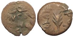 Ancient Coins - Judaea Roman Procurators Porcius Festus, under Nero 59-62 A.D. Prutah Good Fine