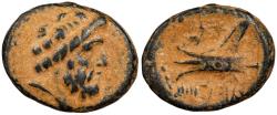 Ancient Coins - Phoenicia Arados ca. 206-51 B.C. AE17 VF