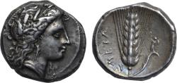 Ancient Coins - Lucania, Metapontion, AR nomos 330-290 BC, Demeter facing right/ear of barley, ex-Pozzi, Lockett