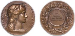 World Coins - France Republic ND (1898 - 1921) Medal - Canton de Sèvres Bronze 26.05g UNC