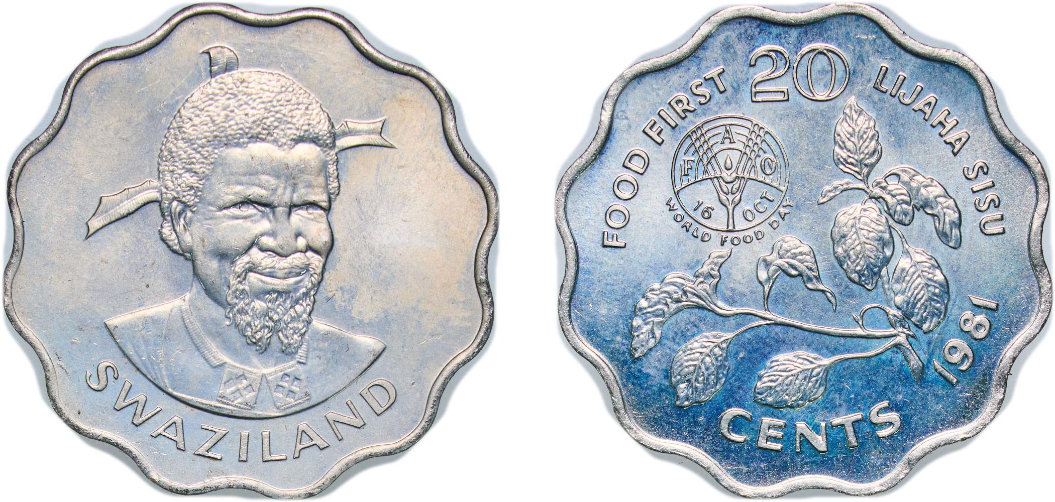 Eswatini Kingdom of Swaziland (1968-2018) 1981 20 Cents - Sobhuza