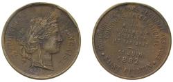 World Coins - France Third Republic 1882 Medal - Souvenir du Concours Regional Agricole Bronze 4.1g XF
