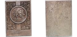 World Coins - France Republic ND Art Medal Silver plated bronze 67.44g AU