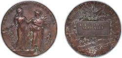 World Coins - France Third Republic ND Medal - Ministère de l’agriculture Bronze 64.04g XF