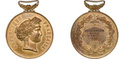 World Coins - France Third Republic 1886 Medal - Conseil Municipal Bronze 57.31g AU