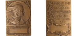 World Coins - France Third Republic 1876 Medal - Gymnastics Association of La Seine Bronze 46.75g AU