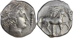 Ancient Coins - Sicily, Entella - Punic issues - c.345/38-320/15 BC - AR Tetradrachm