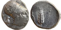 Ancient Coins - Lucania, Metapontum - c.340-330 BC - AR Distater