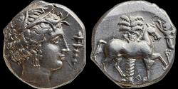 Ancient Coins - Sicily, Entella - Punic issues - c.345/38-320/15 BC - AR Tetradrachm