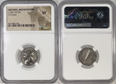 Ancient Coins - Lucania, Metapontum - c.340-330 BC - AR Stater