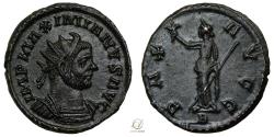 Ancient Coins - Maximianus AD 292-294 Billon Antoninianus –  A scarce obverse/reverse combination