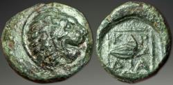 Ancient Coins - Thrace, Chersonessos. AE, ca. 386-319 BC.