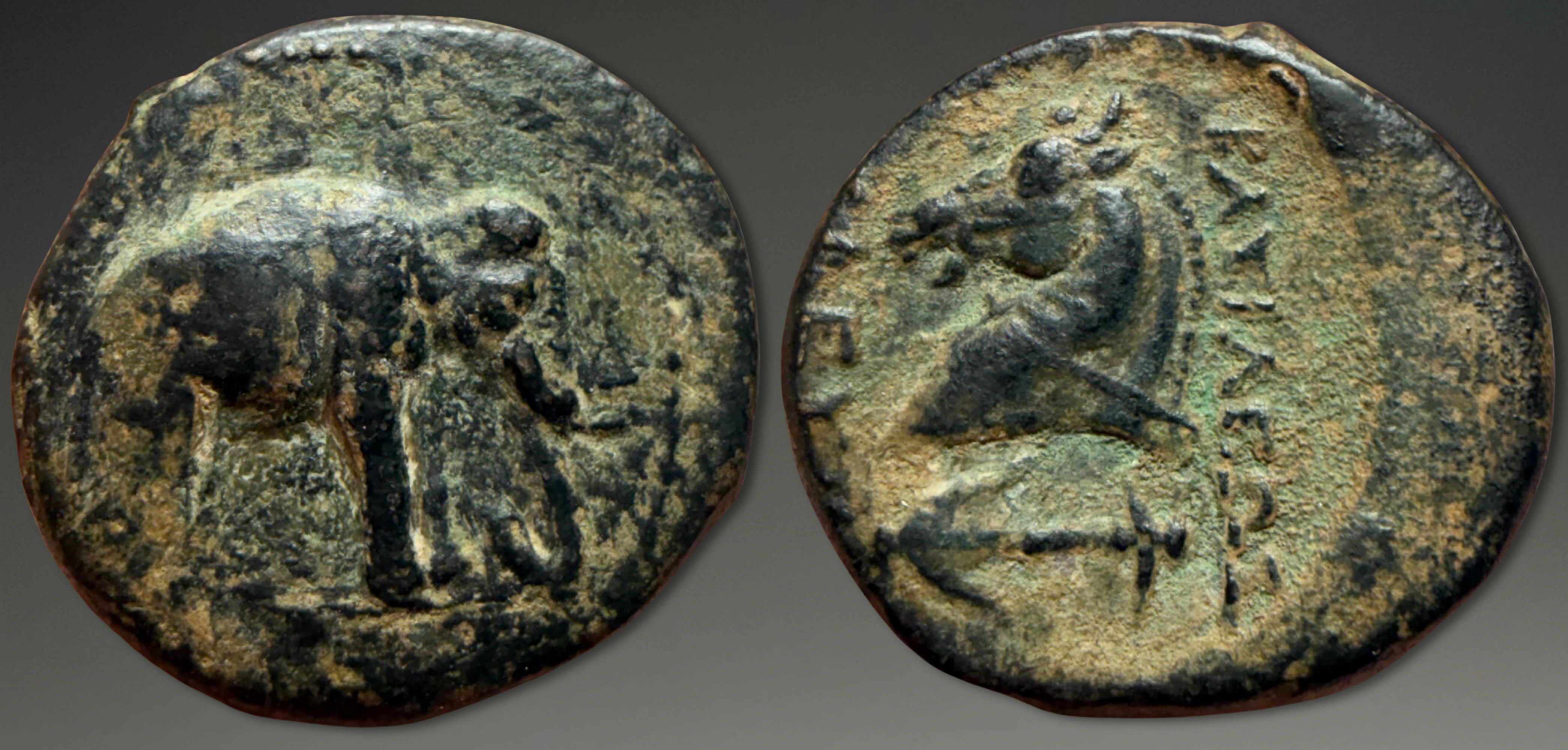 Seleukid Empire. Seleukos I Nikator. AE, ca. 300-281 BC.
